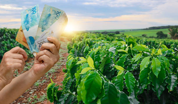 Crédito Rural para Pequenos e Médios Agricultores
